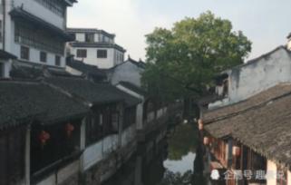 河南省政协委员史宝银:推动中原文化更好走向世界
